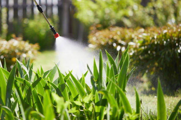 24/7 Emergency Mosquito Control experts in Totowa, NJ