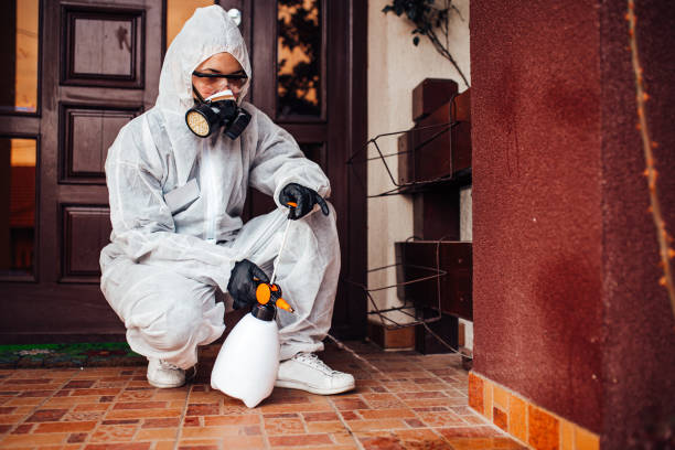 Reliable Mosquito Control contractor in Totowa, NJ by Show Me Pest Control