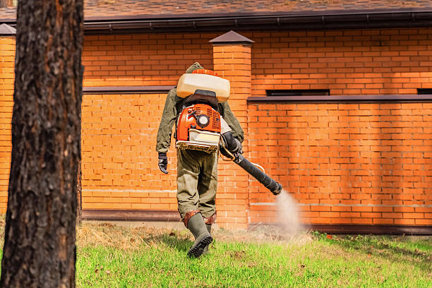 Top rated local Mosquito Control specialists in Totowa, NJ